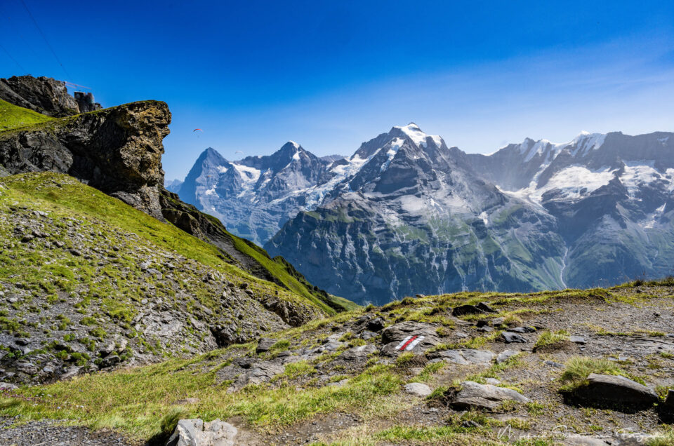 Veronika, die Ambivalenz ist da